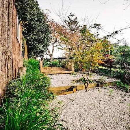 Starry Nights Cabin Fever Waikino Exterior photo