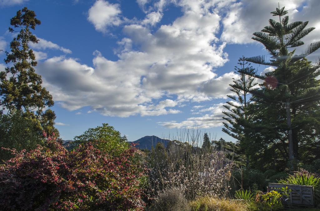 Starry Nights Cabin Fever Waikino Exterior photo